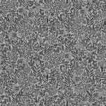 d7dz6K1pTJ