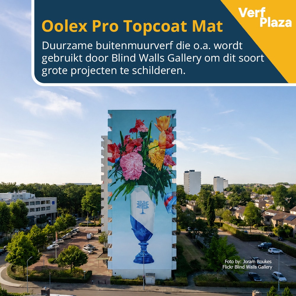 Oolex Pro Topcoat Mat Blind Walls Gallery