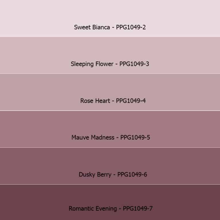 Roze Sigma voice of colour kleuren