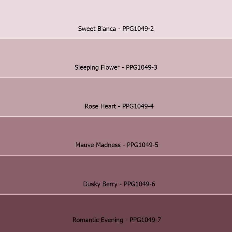 Roze Sigma voice of colour kleuren