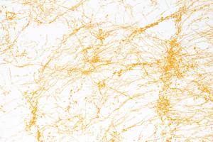 Montana Marble Effect voorbeeld geel
