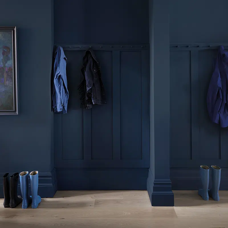 Hague-Blue-Farrow-and-Ball-voorbeeld.png.webp