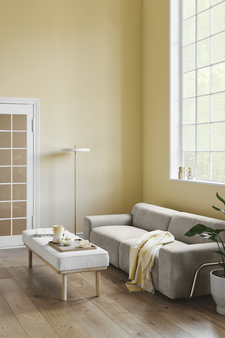 Limitless kopen in Sigma of Histor verf