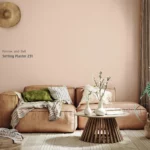 Setting Plaster 231