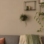 Woonkamer met bank en muur in Real Greige