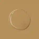 Tan Your Hide PPG1091 6