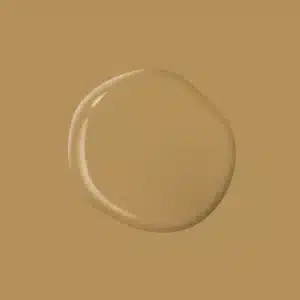 Tan Your Hide PPG1091 6