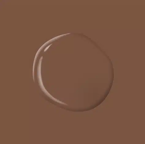 Chocolate River PPG1071 7