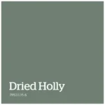 Dried Holly – PPG1135 6