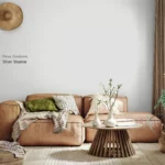 Silver Shadow kleur voorbeeld