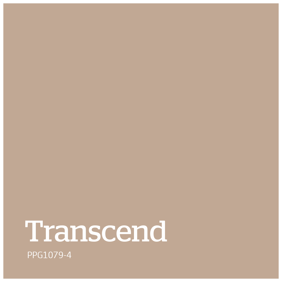 Transcend PPG10794 kopen? Bestel online