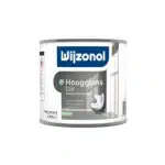 Wijzonol Hoogglanslak ALK | Verfplaza