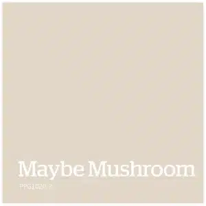 Maybe Mushroom kleur PPG1020 2