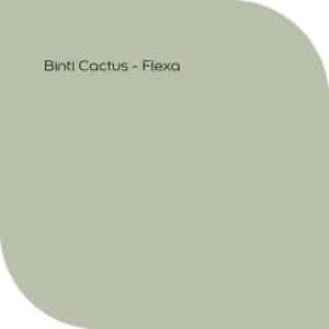 kleur Binti Cactus