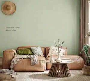 Binti Cactus kleur