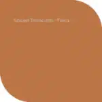 Spiced Terracotta Flexa kleur