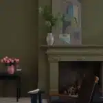 Dibber kleur voorbeeld