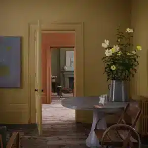 Farrow and Ball Duster kleur op de muur