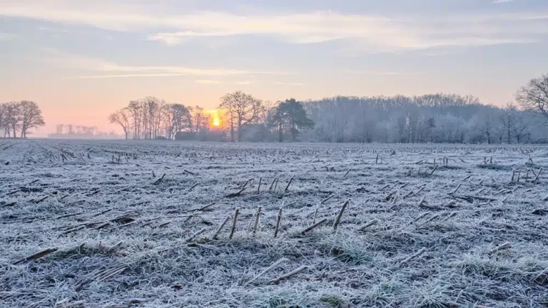 Kan je in februari buiten schilderen