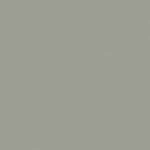 Kleurtester Pigeon