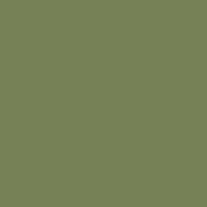 Kleurtester Sap Green