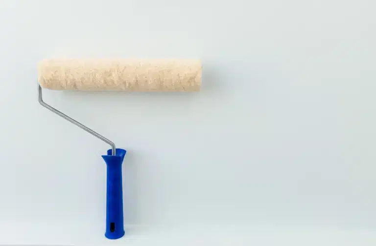 Schuimroller of vachtroller | Verfplaza