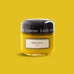 Mister David Little Greene kleurtester