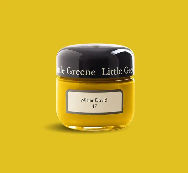 Mister David Little Greene kleurtester