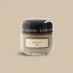 Mushroom Little Greene kleurtester