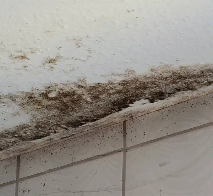 Schimmel voorbeeld badkamer