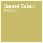 PPG1110 4   Secret Safari