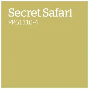 PPG1110 4   Secret Safari