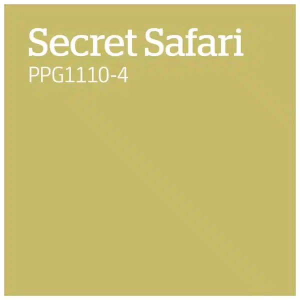 PPG1110 4   Secret Safari
