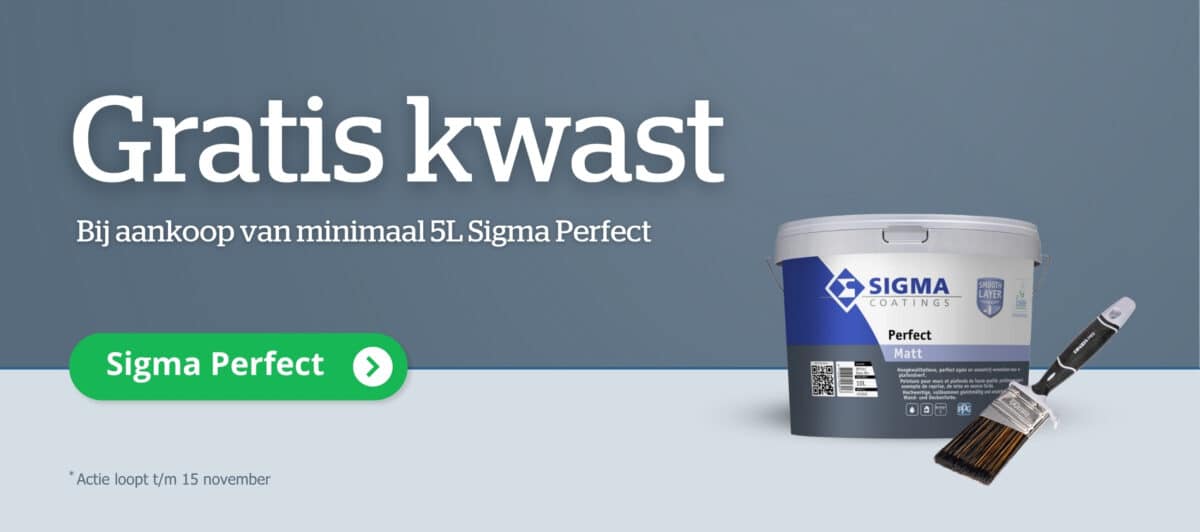 Sigma muurverfweken   gratis kwast bij verfplaza
