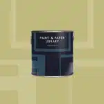 Paint & Paper EUPHORBIA 545