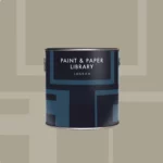 Paint & Paper TARLATAN