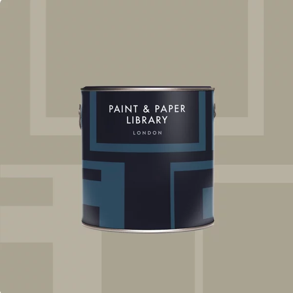 Paint & Paper TARLATAN