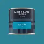 Paint & paper BLUE TIGER tester