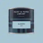 Paint & paper BLUEBIRD tester