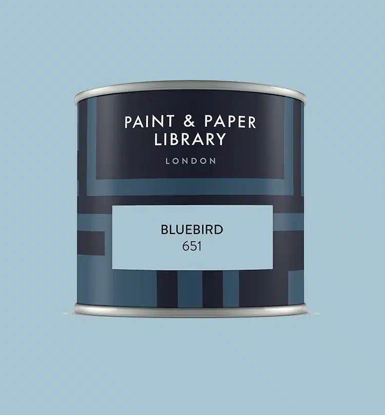 Paint & paper BLUEBIRD tester