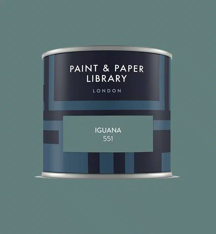 Paint & paper IGUANA tester