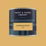 Paint & paper MORNING ROOM tester