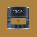 Paint & paper MUGA tester