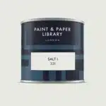Paint & paper SALT I tester
