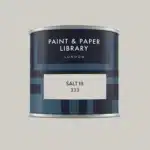 Paint & paper SALT III tester