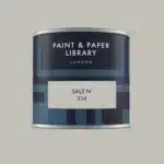 Paint & paper SALT IV tester