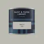 Paint & paper SALT V tester