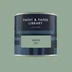 Paint & paper SALVIA tester