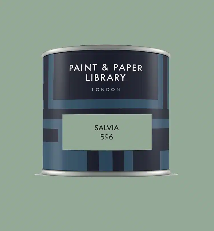 Paint & paper SALVIA tester