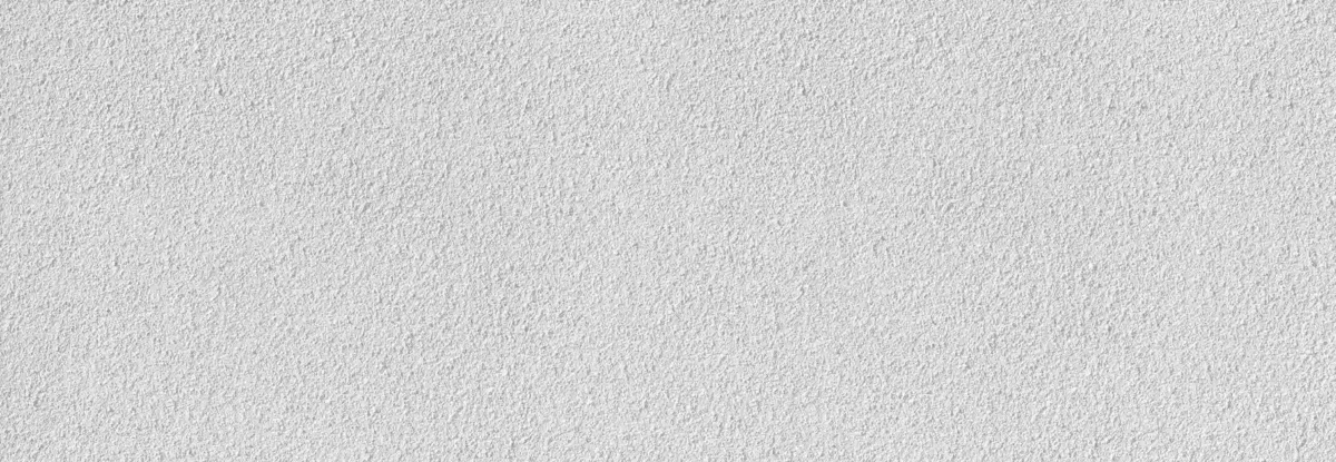 Spackmuur | Verfplaza